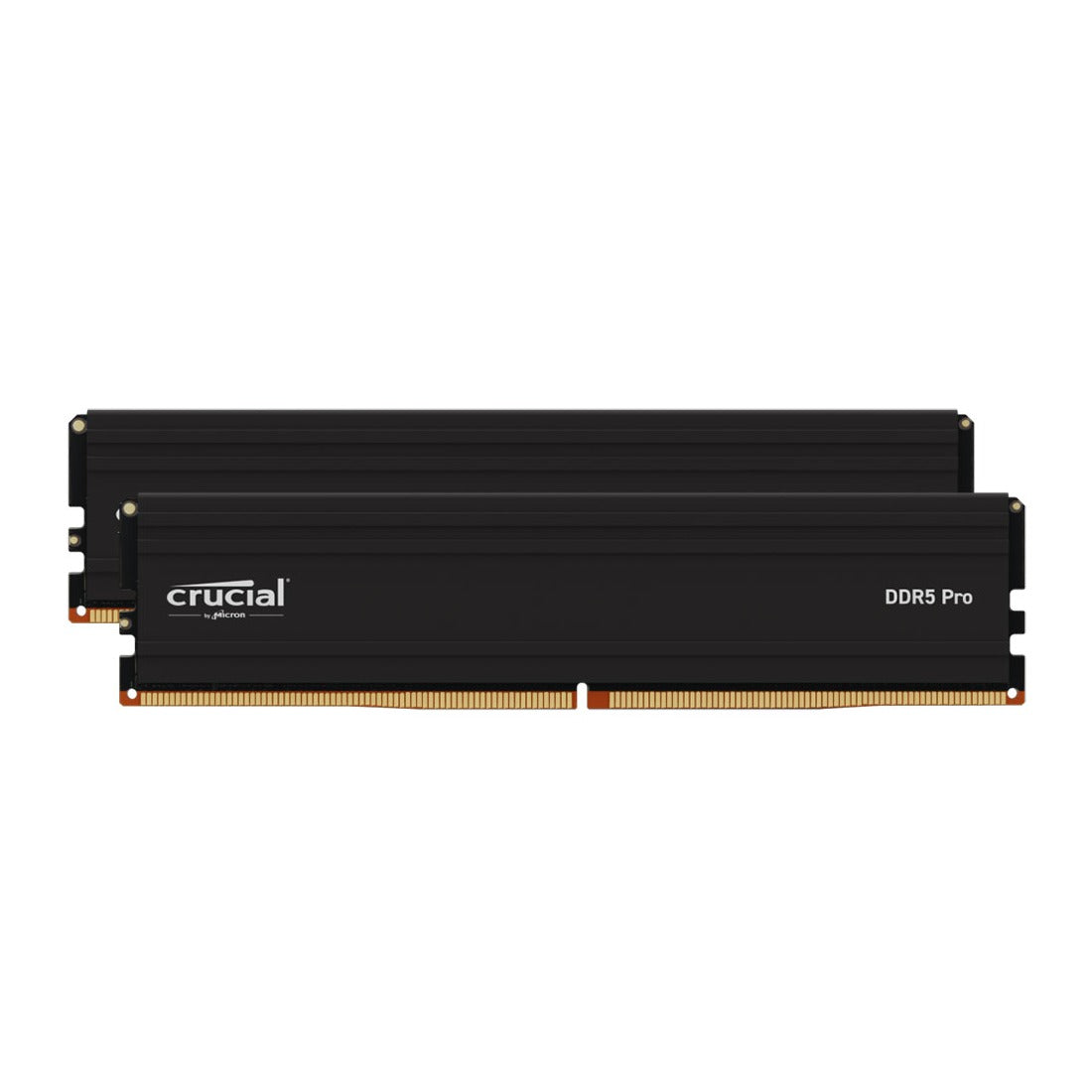 Crucial Pro 48GB(2x24GB) 5600MHz DDR5