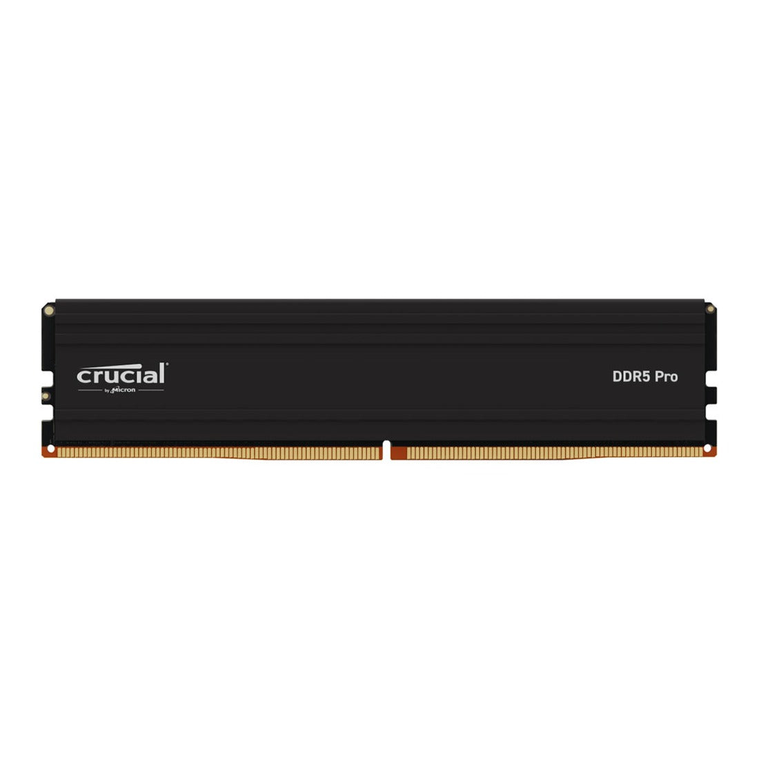 Crucial Pro Series 48GB (1x48GB) 5600MHz DDR5